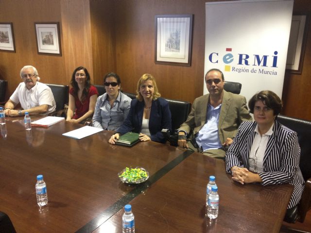 El PP sostiene que esta ley garantiza la igualdad de oportunidades  de las personas con discapacidad - 1, Foto 1