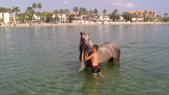 Salvamento marítimo de Protección Civil de San Javier rescató un caballo que nadaba sin rumbo en el Mar Menor - 1, Foto 1