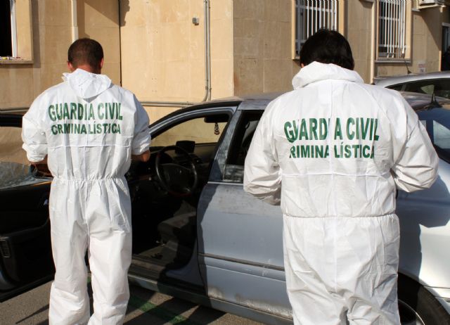 La Guardia Civil detiene al presunto autor de más de una veintena de robos en vehículos en Torre Pacheco - 2, Foto 2