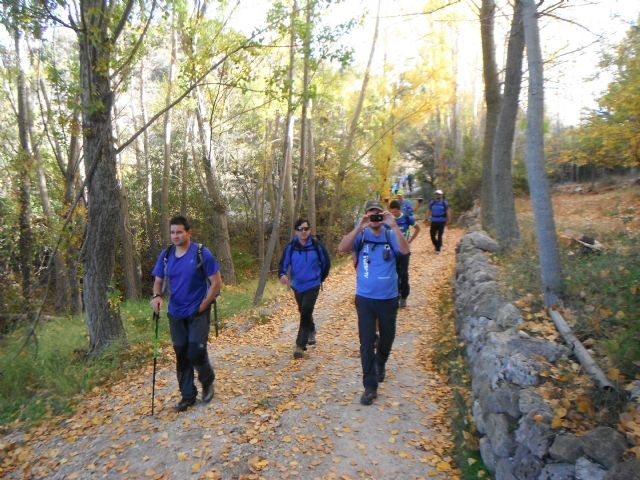 The Club Totana Walker made a route to La Sagra "Vertical Forest" last Sunday, Foto 2