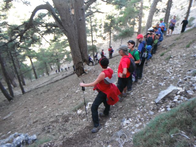 The Club Totana Walker made a route to La Sagra "Vertical Forest" last Sunday, Foto 3