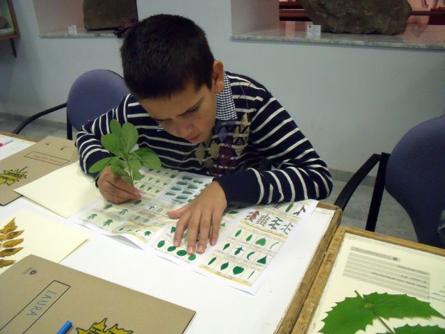 Una decena de niños y niñas de Jumilla participan en la actividad infantil Crea tu herbario - 1, Foto 1