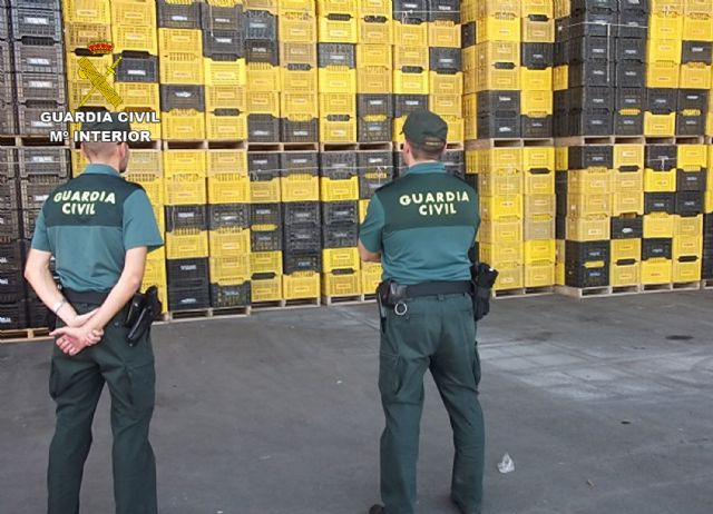 La Guardia Civil detiene a seis personas por sustracciones en explotaciones agrícolas - 4, Foto 4