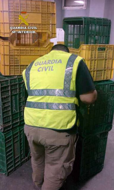 La Guardia Civil detiene a seis personas por sustracciones en explotaciones agrícolas - 5, Foto 5