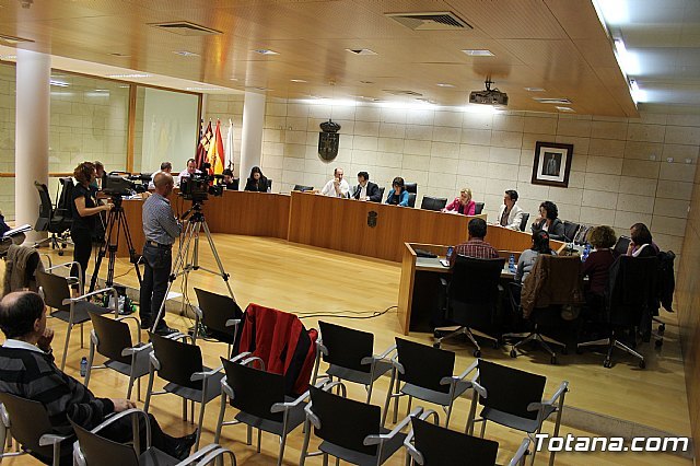 El Pleno acuerda aprobar un manifiesto con motivo el Día Internacional para la Eliminación de la Violencia contra la Mujer - 1, Foto 1
