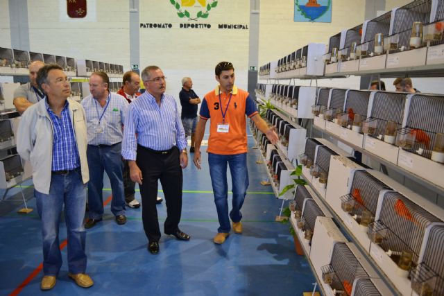 Más de un centenar de criadores y un millar de pájaros participan en el I Campeonato Regional de Ornitología que se celebra en Águilas - 1, Foto 1