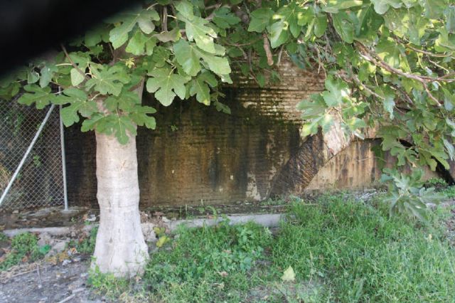 El alcalde advierte del deterioro que están sufriendo la estructuras de la rueda y el acueducto - 4, Foto 4