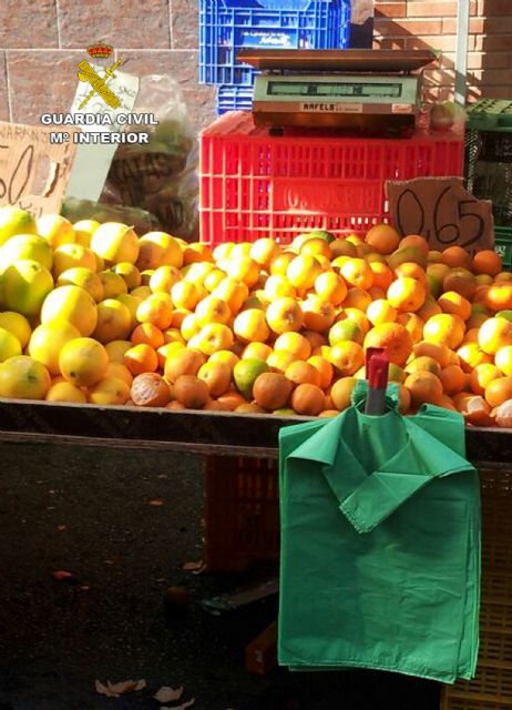 La Guardia Civil detiene a los tres integrantes de una banda por la sustracción de cuatro toneladas de fruta en Fortuna - 1, Foto 1