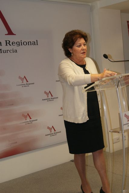 El presupuesto de Sanidad y Política Social incrementará las listas de espera, no cubrirá la renta básica y dejará sin prestaciones a miles de dependientes - 1, Foto 1