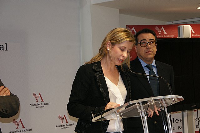 El PSOE denuncia que las mujeres víctimas de violencia de género no tendrán con estos presupuestos el apoyo necesario - 1, Foto 1