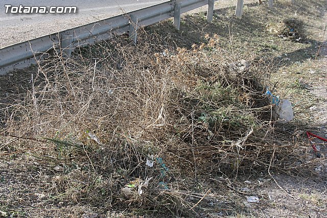 El ayuntamiento lleva a cabo un plan de choque de limpieza de caminos - 2