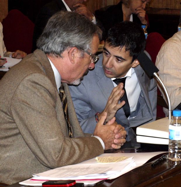 UPyD Murcia vota en contra de los Presupuestos para 2014 fruto de unas políticas nefastas - 1, Foto 1