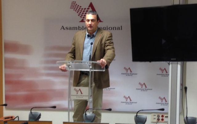 Pujante: Este presupuesto es incapaz de generar empleo y reactivar la economía - 1, Foto 1