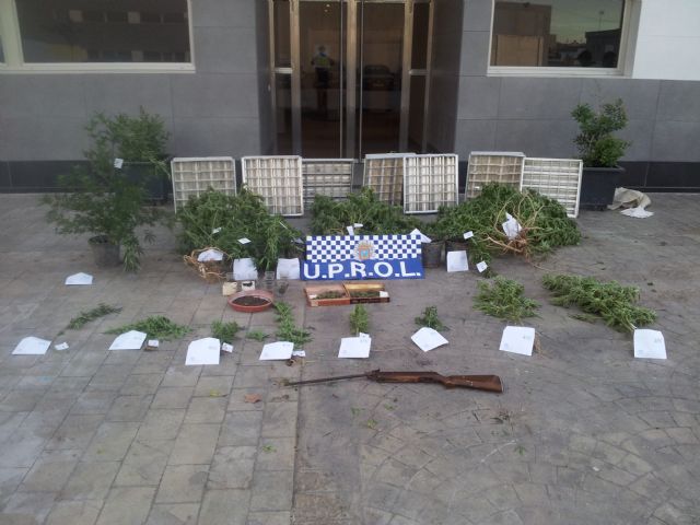 Agentes de Policía Local de Lorca y Águilas colaboran en el desmantelamiento de una explotación de marihuana en la pedanía de La Campana - 1, Foto 1