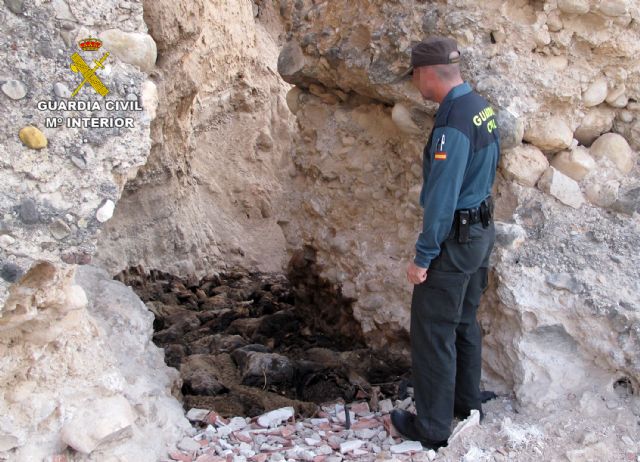 La Guardia Civil halla gran cantidad de cadáveres de ovejas en Cañada Hermosa-Murcia - 2, Foto 2