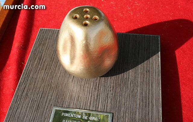 Mañana domingo 10 de noviembre tendrá lugar el VII encuentro de Cuadrillas - Raiguero 2013, Foto 2