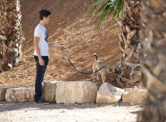 190 denunciados este año por no recoger las cacas de los perros - 2, Foto 2