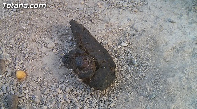 Se inicia la campaña de concienciación ciudadana para la recogida de excrementos de animales domésticos en la vía pública, parques y jardines, Foto 1