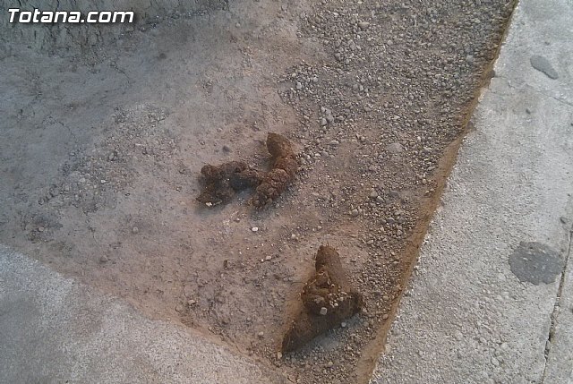 Se inicia la campaña de concienciación ciudadana para la recogida de excrementos de animales domésticos en la vía pública, parques y jardines, Foto 2