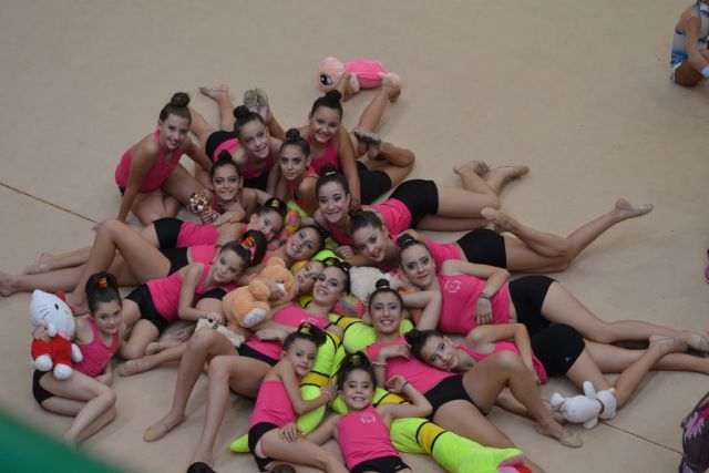 El Club de Gimnasia Rítmica 'Ciudad de Cehegín' participará en el Campeonato de España de Guadalajara - 1, Foto 1
