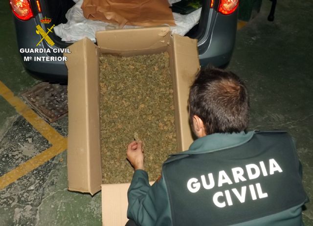 La Guardia Civil desmantela un invernadero de marihuana con medio millar de plantas en Jumilla - 3, Foto 3