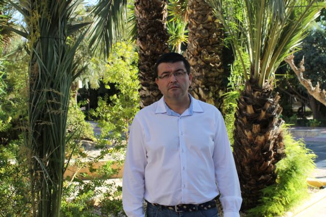 El Ayuntamiento pide que no se talen las palmeras estos das ante la gran afluencia de picudo detectada, Foto 1