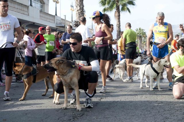 Conferencia sobre Canicross en el XII Cross de la Artillería - 1, Foto 1