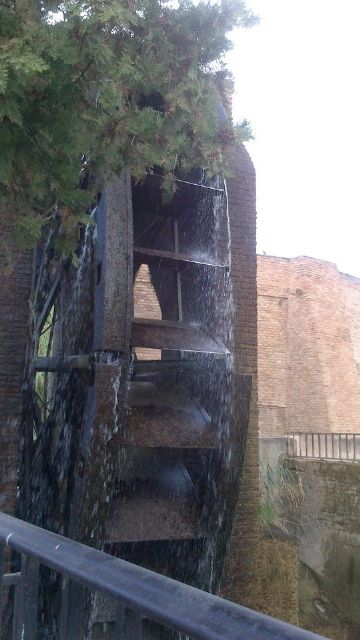 HUERMUR denuncia que la nueva rueda de La Ñora ha durado menos de tres años - 3, Foto 3