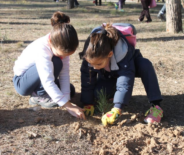 Escolares del Príncipe Felipe celebran el 29 aniversario del centro con una forestación en el Jardín Botánico - 1, Foto 1