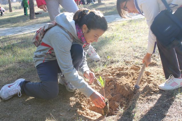Escolares del Príncipe Felipe celebran el 29 aniversario del centro con una forestación en el Jardín Botánico - 4, Foto 4