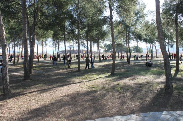 Escolares del Príncipe Felipe celebran el 29 aniversario del centro con una forestación en el Jardín Botánico - 5, Foto 5