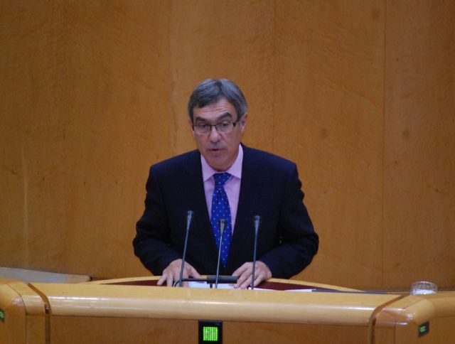 Ramón Ortiz destaca el consenso del Senado para sacar adelante el Estatuto de Autonomía de Murcia, una reforma puntual y necesaria - 4, Foto 4