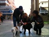 El Ayuntamiento de Lorca refuerza su campaña de concienciación y control de animales