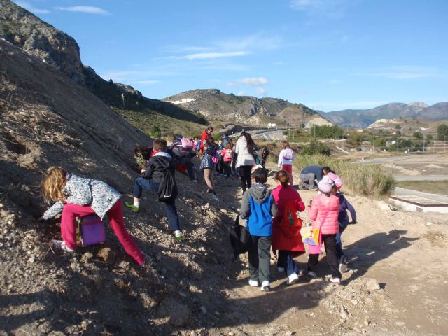 Escolares de Primaria participan en una jornada de revegetación en la Vía Verde del Noroeste - 2, Foto 2