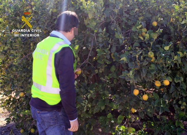 La Guardia Civil detiene e imputa a ms de un centenar de personas por robos en fincas y granjas de la Regin, Foto 2