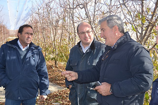 Empleo expone a Fecoam las principales líneas de apoyo a la economía social que la Comunidad pondrá en marcha para el próximo año - 1, Foto 1