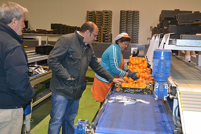 Empleo expone a Fecoam las principales líneas de apoyo a la economía social que la Comunidad pondrá en marcha para el próximo año - 2, Foto 2