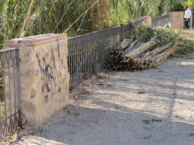 IU-Verdes presenta una iniciativa para acondicionar una zona de ocio en el Paseo de Ronda, junto al Puente del Argaz - 2, Foto 2