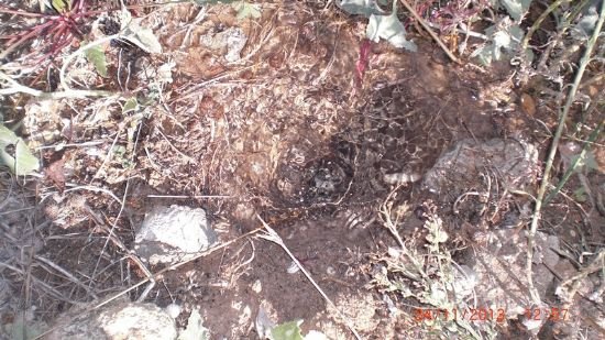IU: El deterioro del Servicio de Agua de Totana es evidente ante las quejas de vecinos , Foto 3