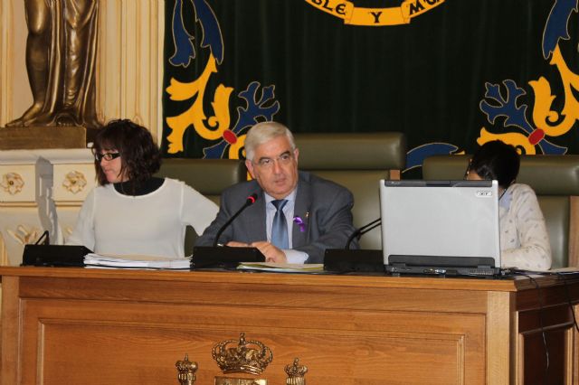 El Pleno aprueba una moción conjunta para solicitar medidas de apoyo al sector agrario de la pedanía de las Encebras - 2, Foto 2