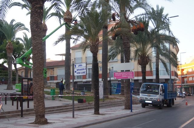 Se inician los trabajos de poda y fumigación de las palmeras en los parques y jardines del casco urbano de Totana, Foto 1