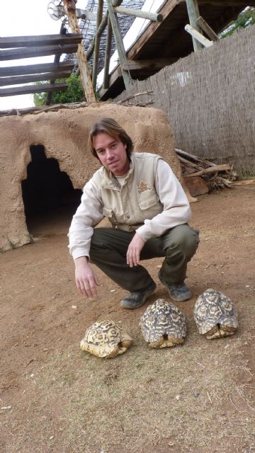 Terra Natura Murcia recibe tres nuevos ejemplares de tortuga africana donados por particulares - 2, Foto 2