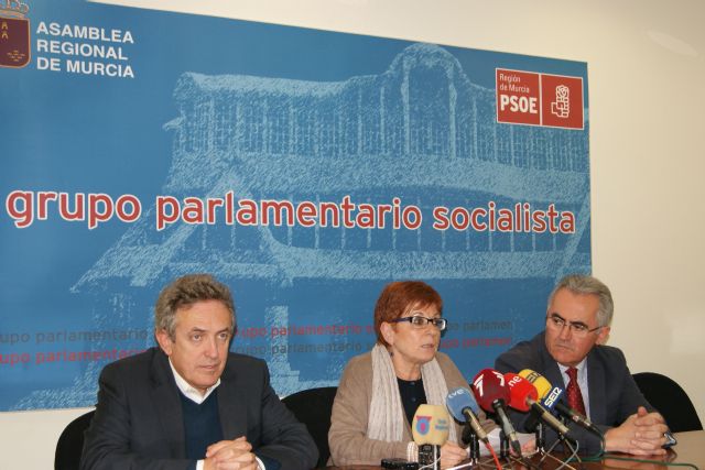 El PSOE presenta 153 enmiendas parciales a los Presupuestos para orientar la salida de la crisis, redistribuir los limitados recursos y dar esperanzas a los ciudadanos - 1, Foto 1
