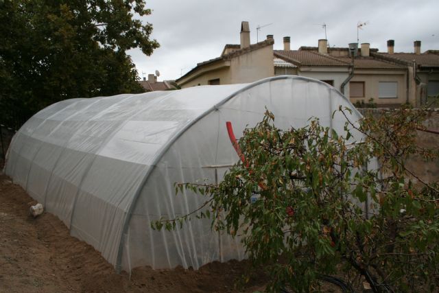 Varios colegios del municipio han sido objeto de actuaciones de mantenimiento y obras de mejora - 2, Foto 2