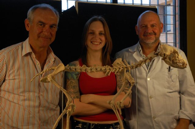 La Universidad de Murcia reconstruye el esqueleto de un perro con 4.000 años de antigüedad - 2, Foto 2