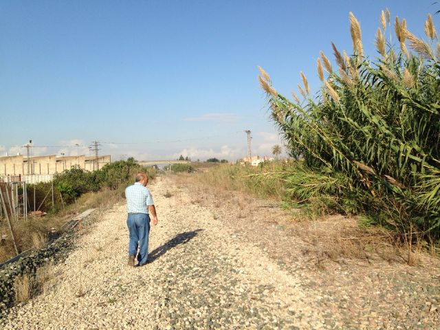 El PSOE exige una limpieza de choque en las antiguas vías de ferrocarril a su paso por Los Dolores - 1, Foto 1