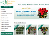 Compra tus Flores de Pascua en tusplantasonline.com