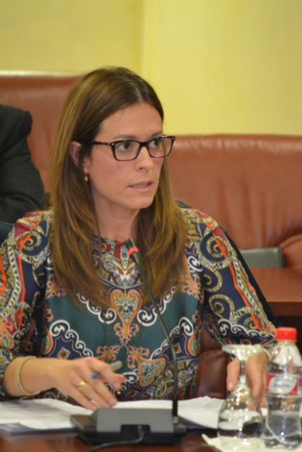 Según el PP, no es posible ayudar a las familias más desfavorecidas para que puedan hacer efectivo el pago del IBI - 1, Foto 1