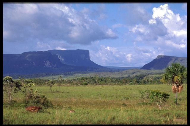 La agenda cultural de esta semana arranca mañana con el cine documental Expedición entomológica Venezuela ' 97 - 1, Foto 1