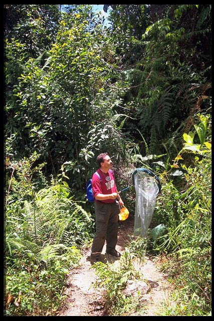 La agenda cultural de esta semana arranca mañana con el cine documental Expedición entomológica Venezuela ' 97 - 5, Foto 5